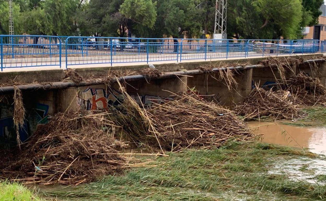 Las cañas que arrastró la corriente y que taponaron uno de los puentes de la zona. 