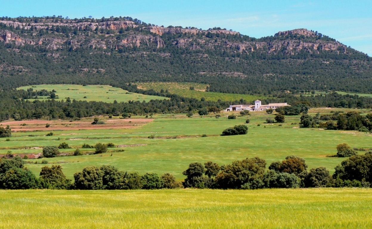 Vita de la Cañada de Jarafuel donde se aprecian el paisaje tradicional de campos de cereal y encinares. 