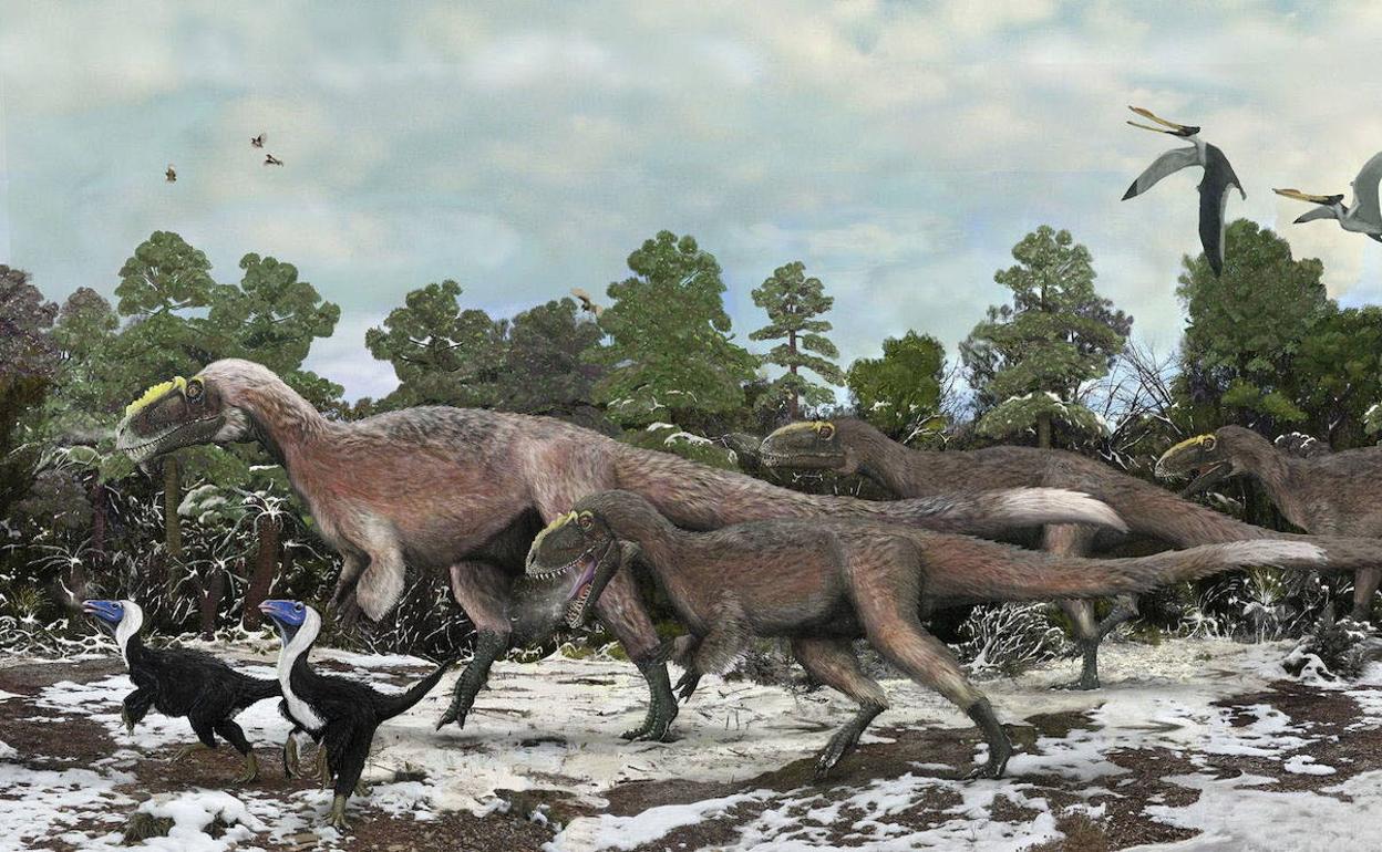 Dinosaurios | Descubren el lugar donde vivieron unos extraños dinosaurios  con plumas | Las Provincias