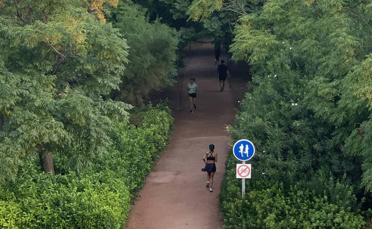 El Circuit 5K Jardí del Turia, un lugar perfecto para entrenarse sin salir de Valencia. 