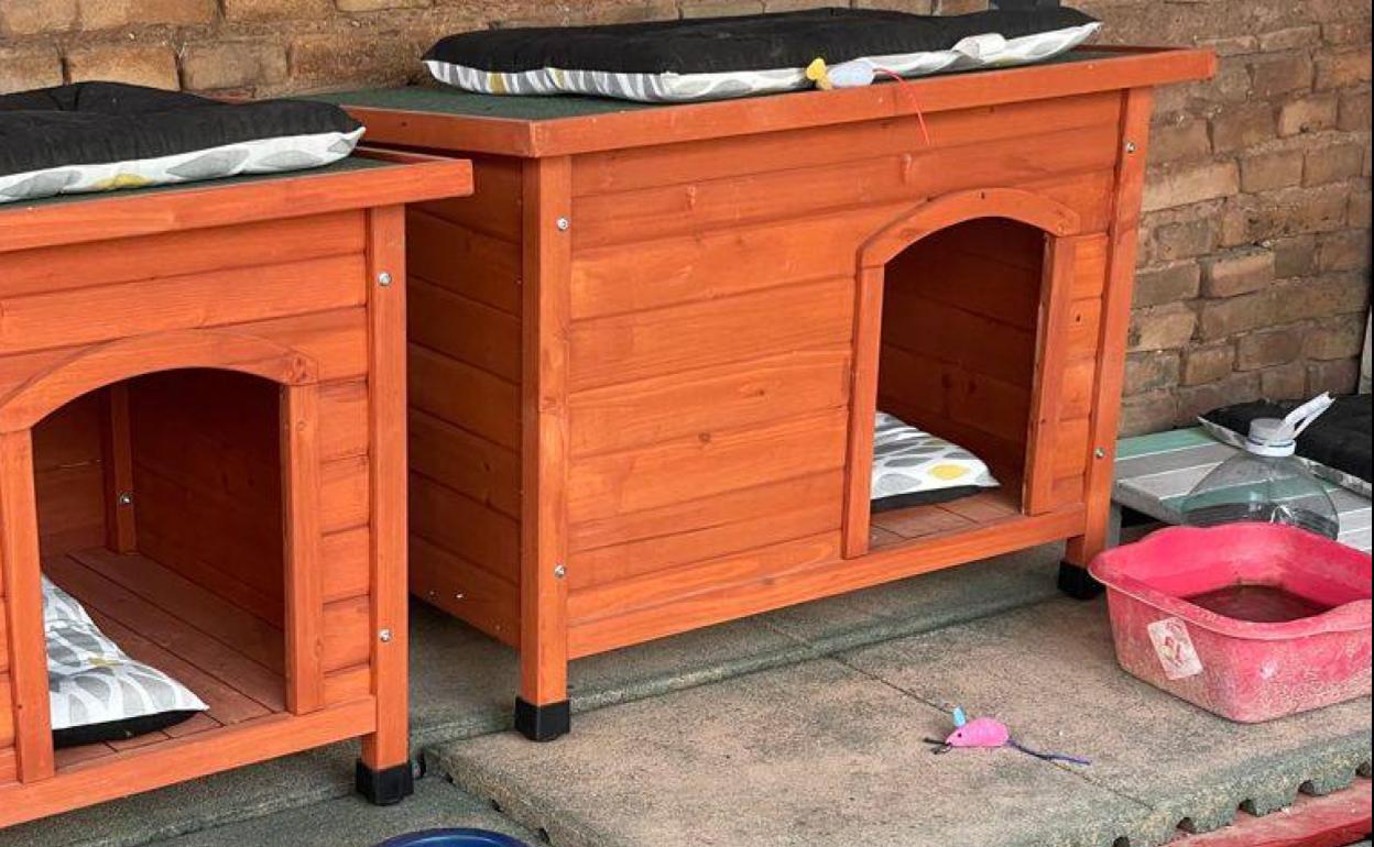 Las casetas para los gatos de una colonia. 