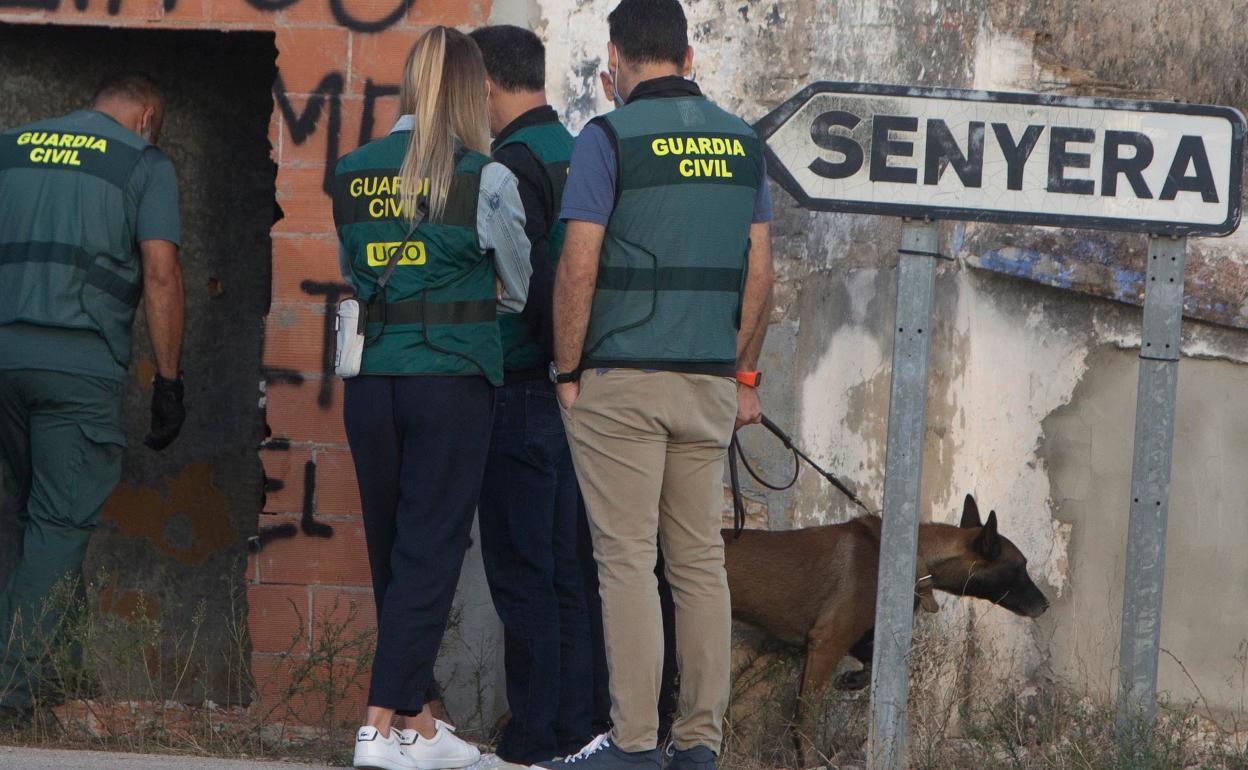 Varios guardias civiles y 'Bill' en la entrada del pozo inspeccionado en Senyera. 