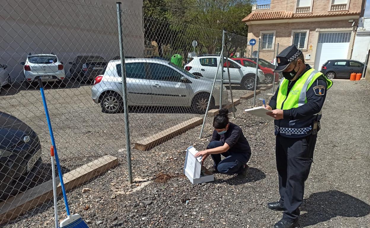 Recogida de una muestra de heces en un aparcamiento de Almussafes. 