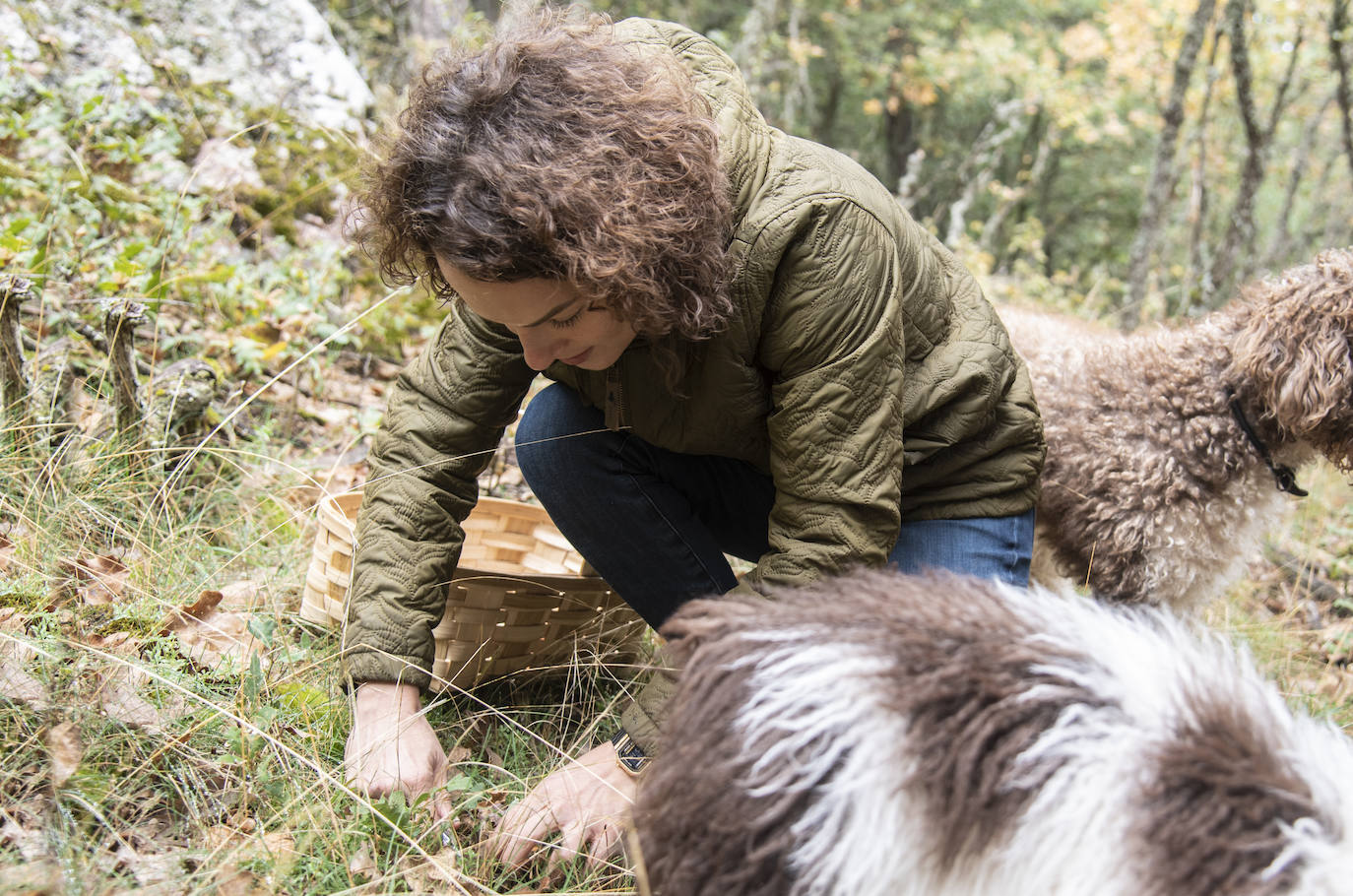 No todas las setas son de otoño, pero el otoño constituye una temporada venerable para los frutos de los hongos, y en consecuencia para nuestras despensas. Viajamos con Clara Puig y Borja Susilla, del restaurante Tula de Jávea hasta los cercanos montes de Teruel, en las inmediaciones de Tramacastilla, en busca de setas de temporada.