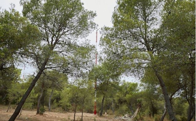 El Parque Natural del Turia a su paso por Paterna. 