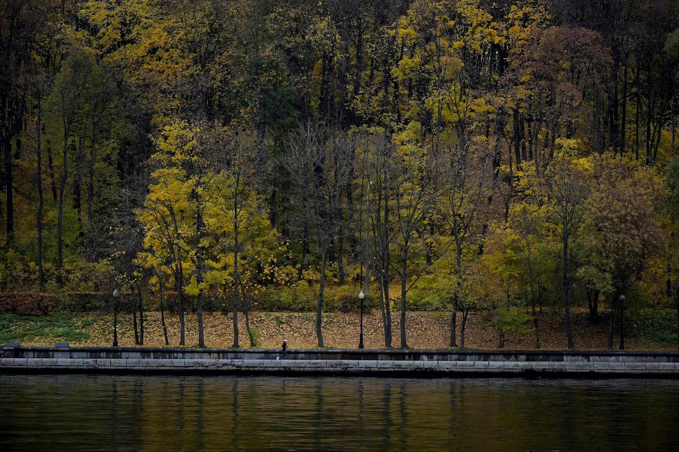 El otoño para muchos es la estación más bonita del año, en la que el frío comienza a abrirse paso entre un tinte de colores cálidos que cubre cada rincón. El verde se transforma en tonos naranjas que dejan paisajes dignos de películas, como el de la imagen, en Moscú (Rusia). 