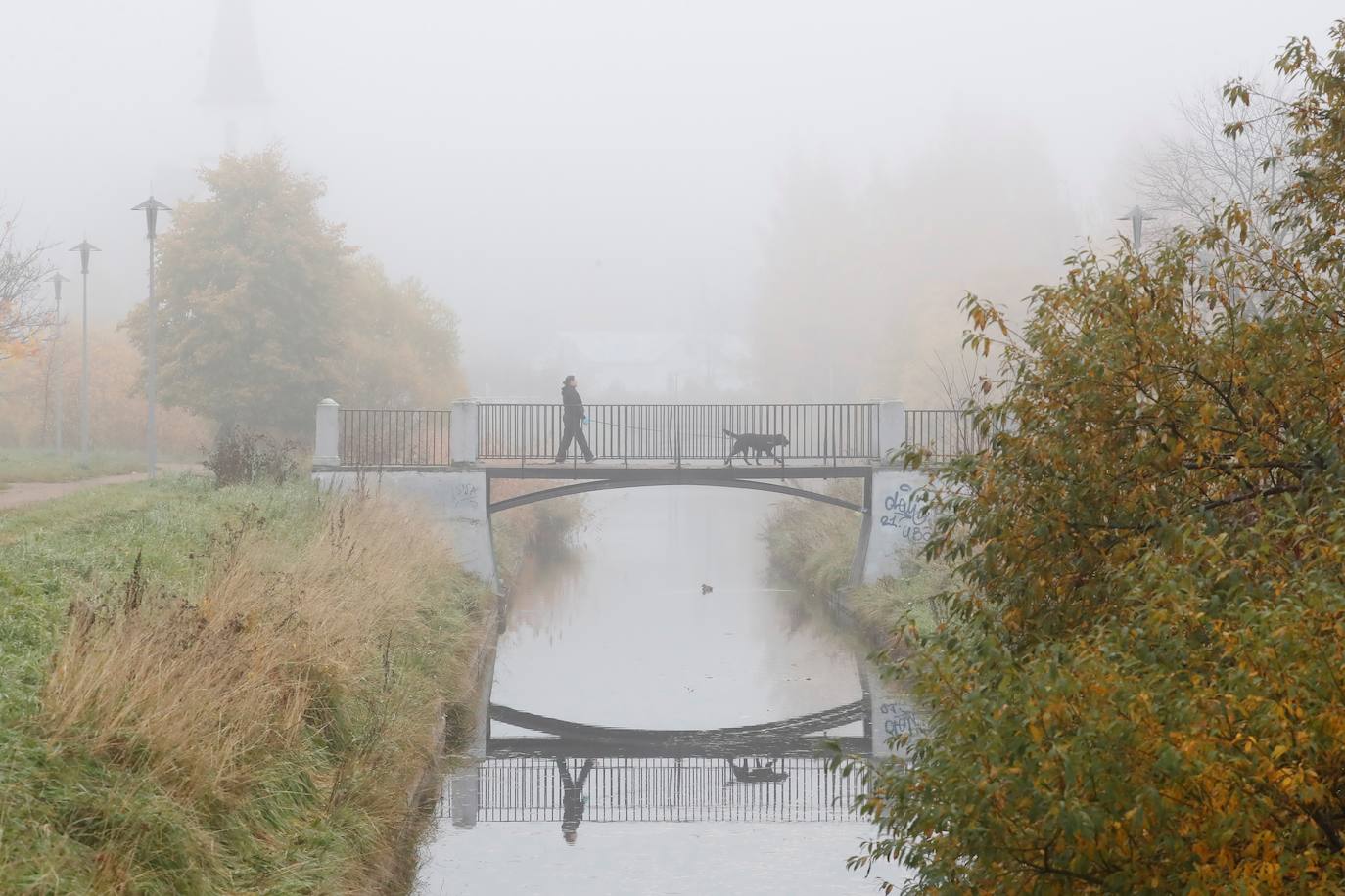 El otoño para muchos es la estación más bonita del año, en la que el frío comienza a abrirse paso entre un tinte de colores cálidos que cubre cada rincón. El verde se transforma en tonos naranjas que dejan paisajes dignos de películas, como el de la imagen, en San Petersburgo (Rusia). 