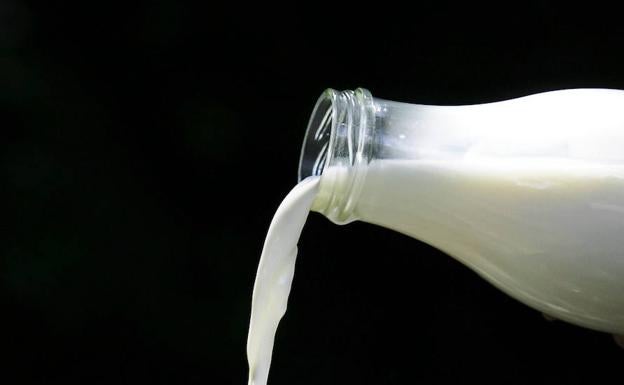 Tomar un vaso de leche caliente antes de dormir: ¿funciona realmente?