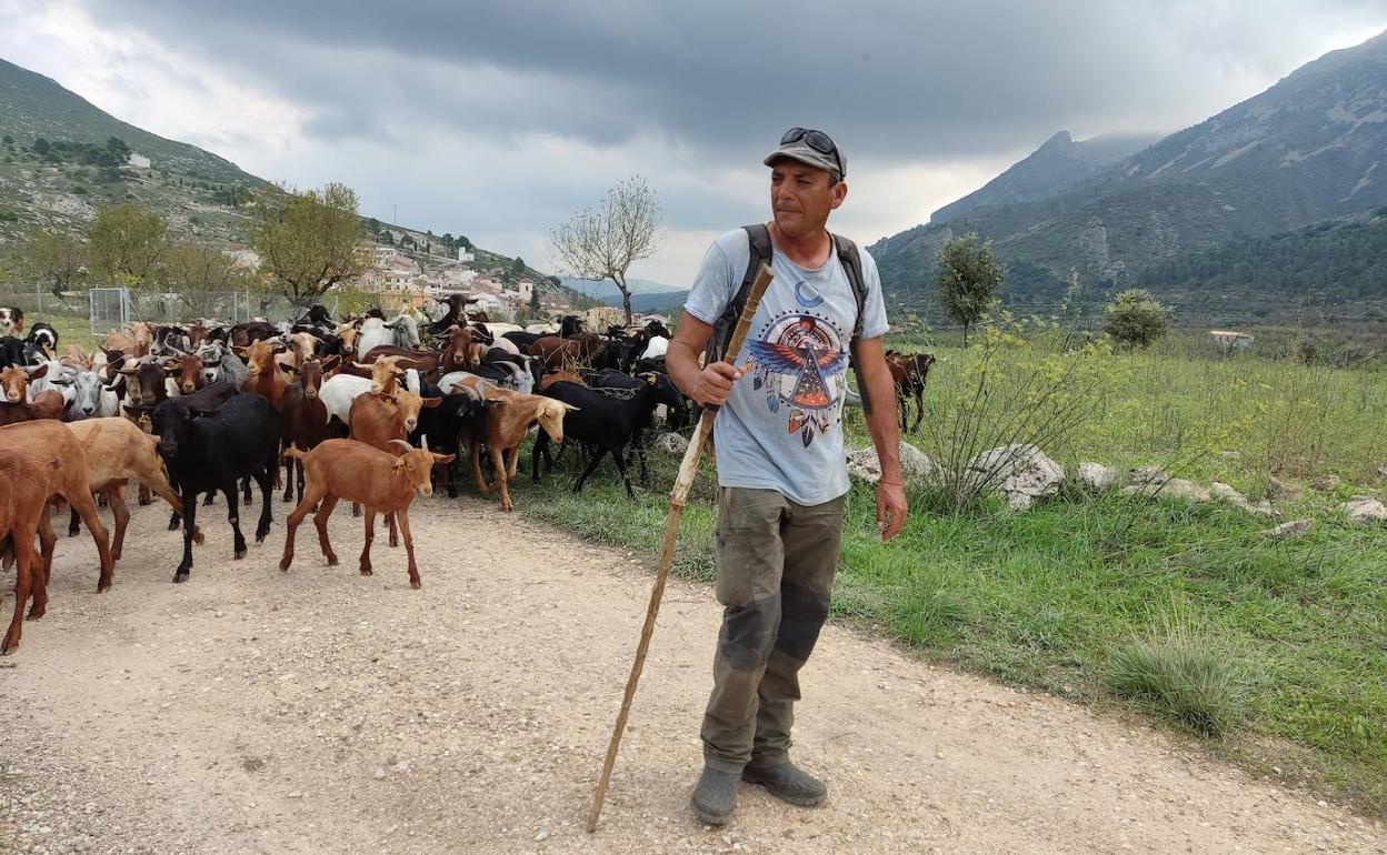 Josep Brot recorre los caminos de Fageca con su rebaño de cabras. 