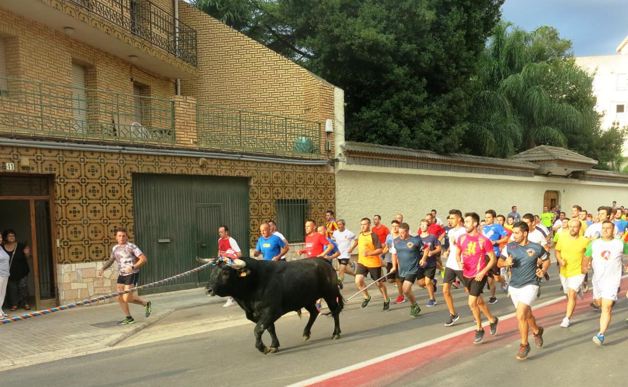 Uno de los bous en corda celebrados en Turís antes de la pandemia.