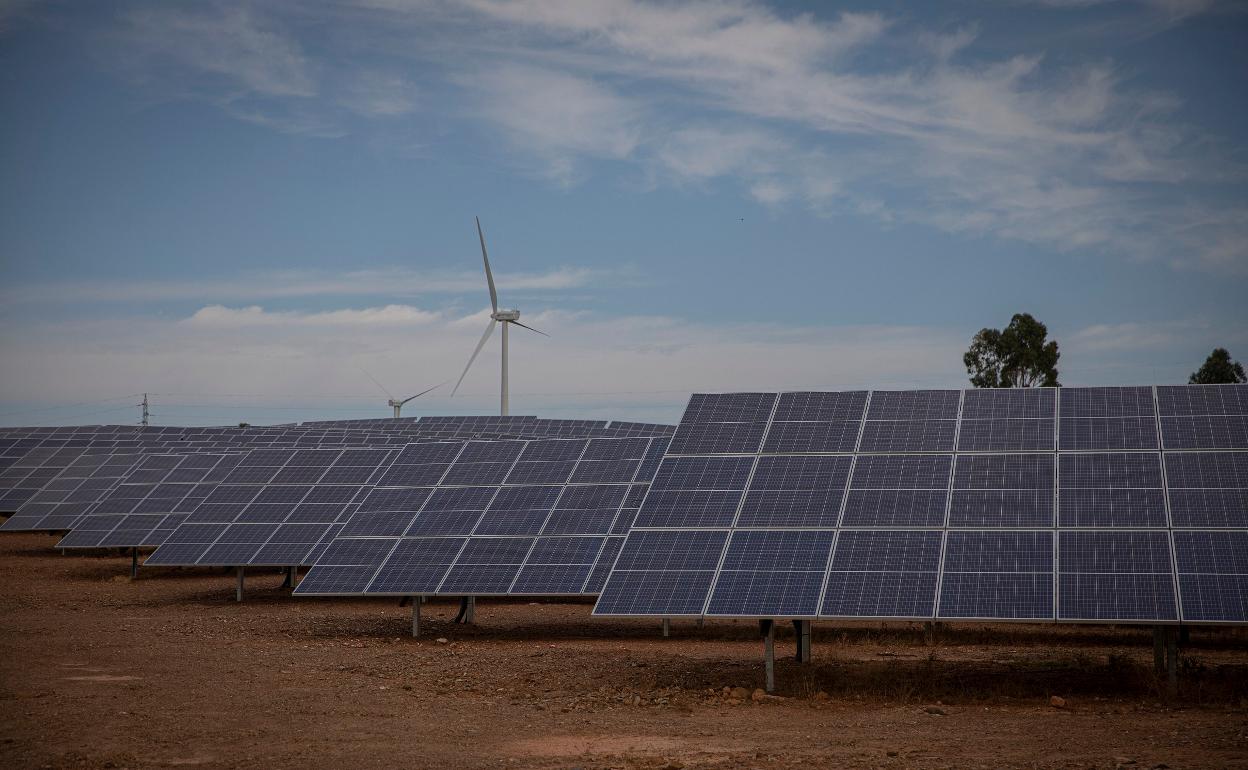 Placas solares en un terreno de Andalucía.