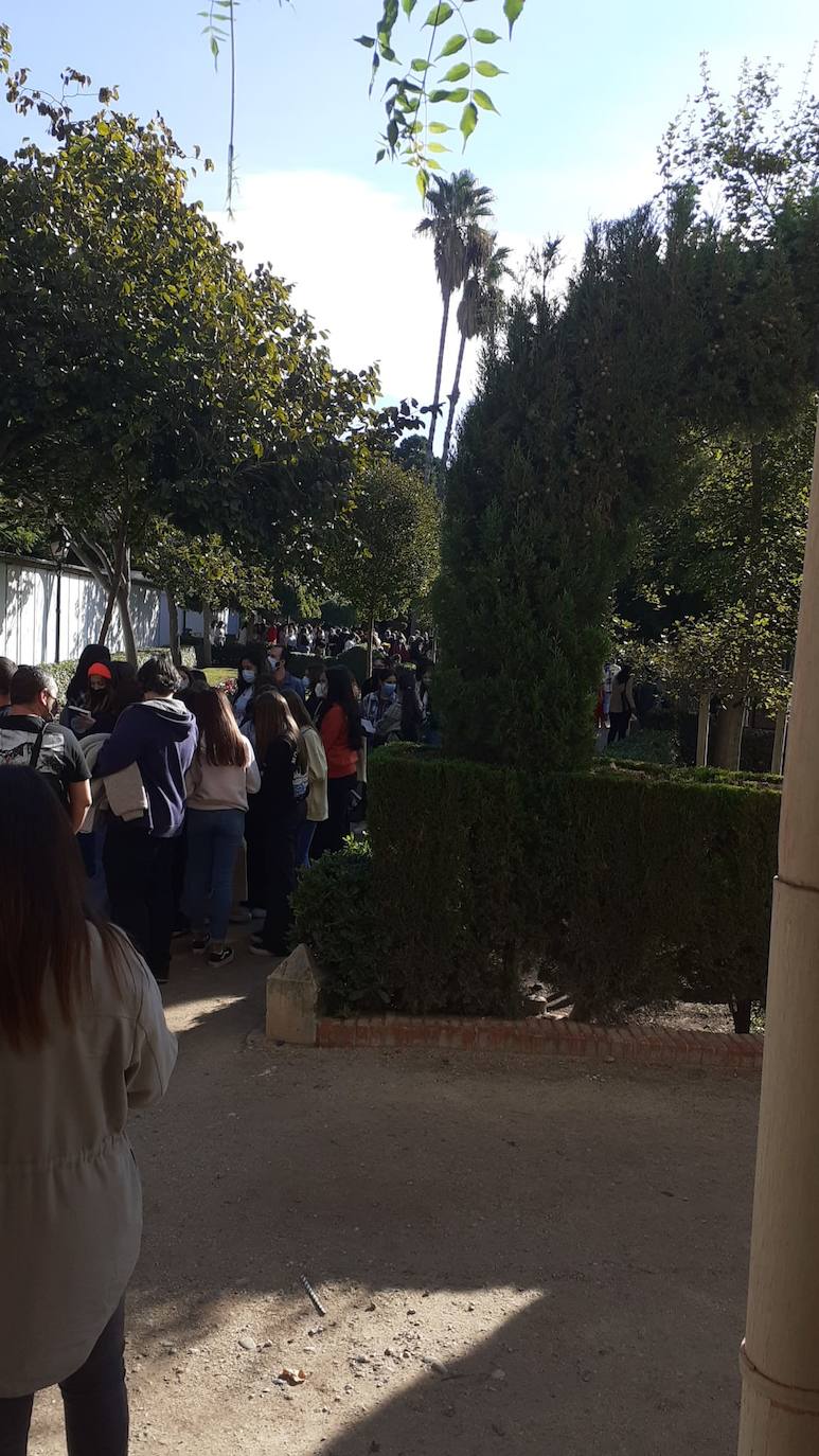 La escritora valenciana desata la locura con colas que salen del céntrico parque