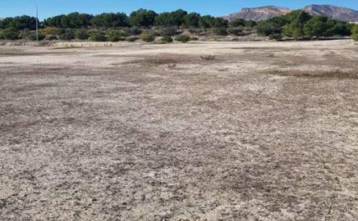 Terrenos donde será ubicado el nuevo parque. 