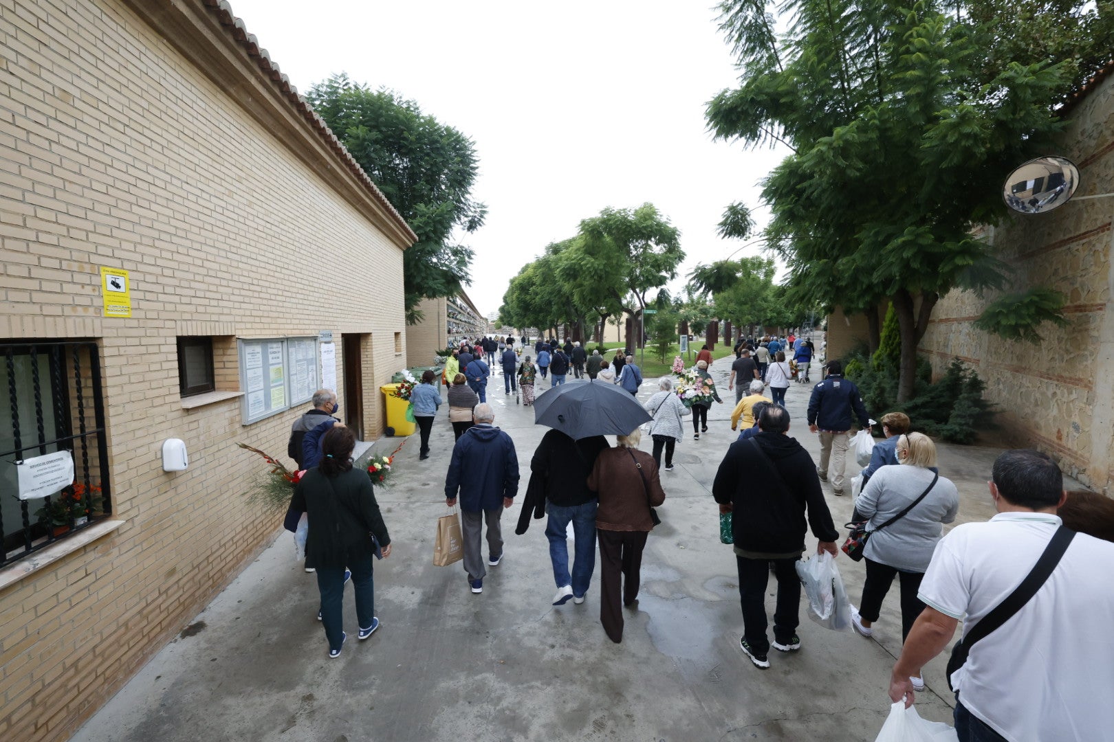 Los camposanto de la capital reciben visitas durante el fin de semana, pese al mal tiempo 