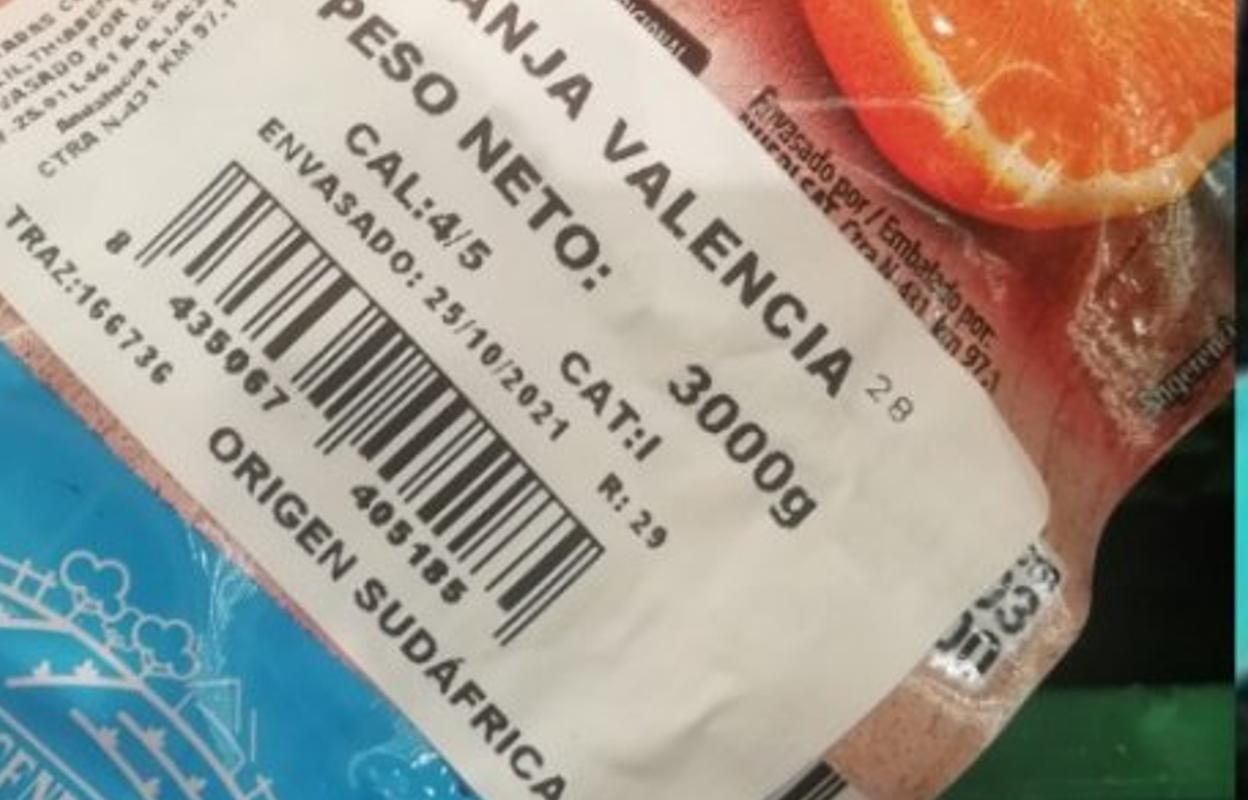 Naranja sudafricana con la marca Valencia en un supermercado. lp