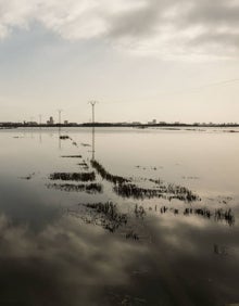 Imagen secundaria 2 - El Portet de Sollana: una ruta por el secreto mejor guardado de L&#039;Albufera