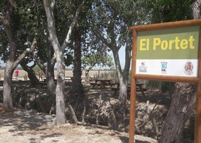 Imagen secundaria 1 - El Portet de Sollana: una ruta por el secreto mejor guardado de L&#039;Albufera