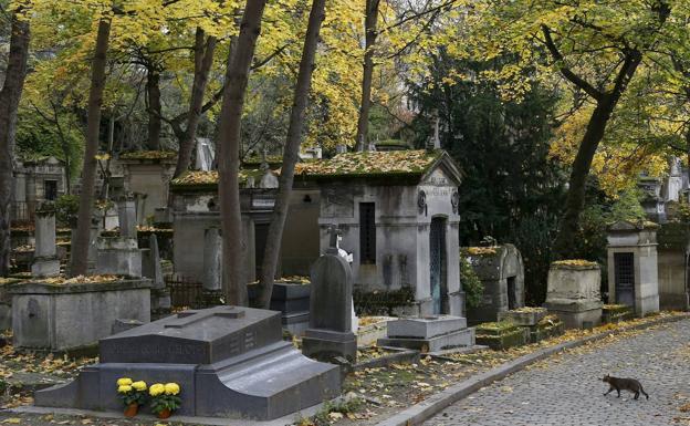 Imagen. Un gato en el cementerio del Père Lachaise.