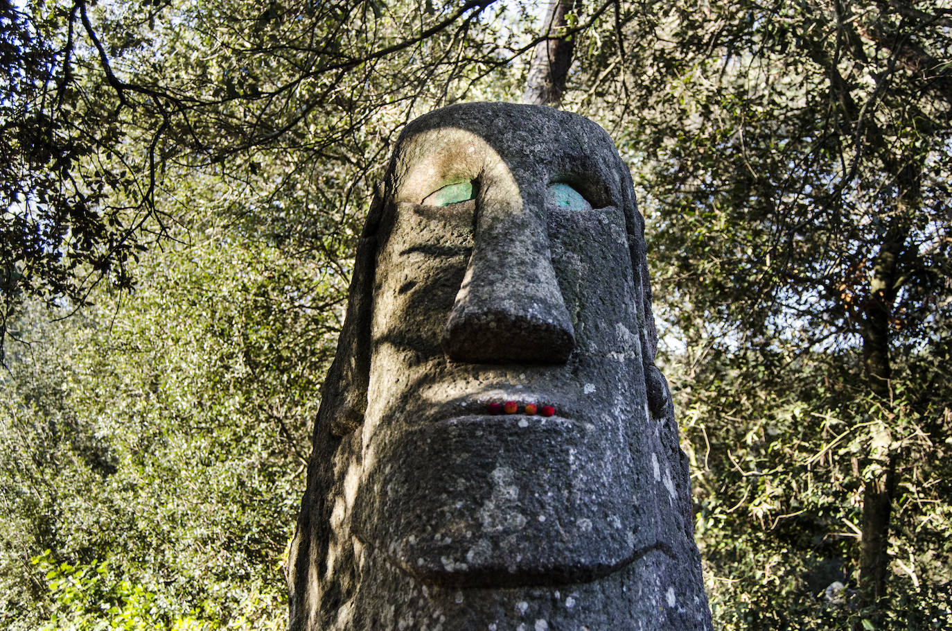 Fotos: El bosque encantado de Orrius, un lugar mágico y misterioso