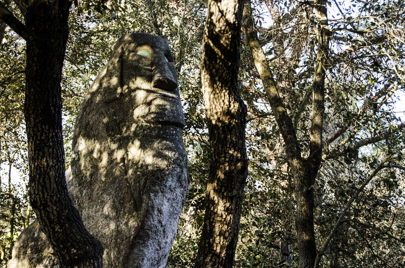 Fotos: El bosque encantado de Orrius, un lugar mágico y misterioso
