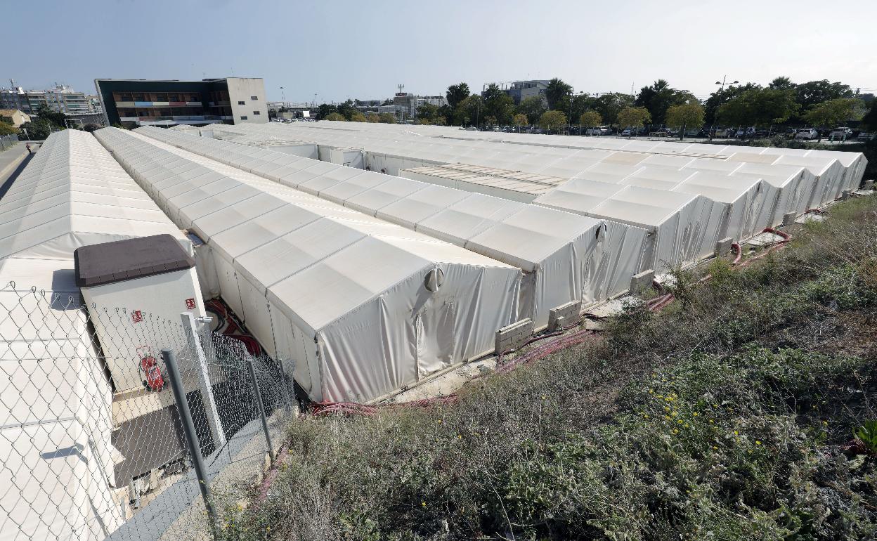 Estado actual de las instalaciones que el Ayuntamiento amenaza con demoler. 