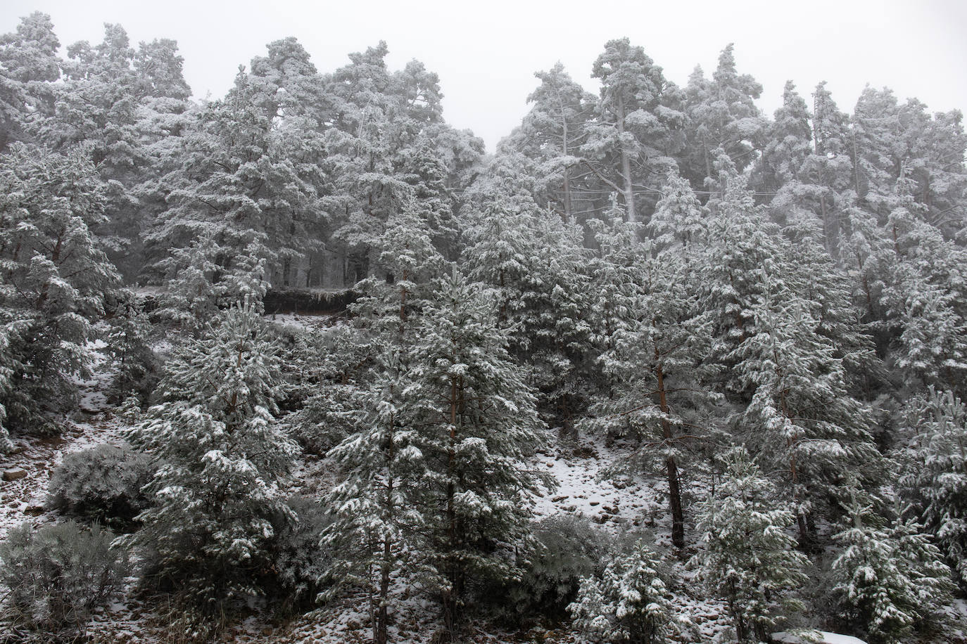 La primera nevada del otoño de 2021 cae en el norte de la península ibérica. 