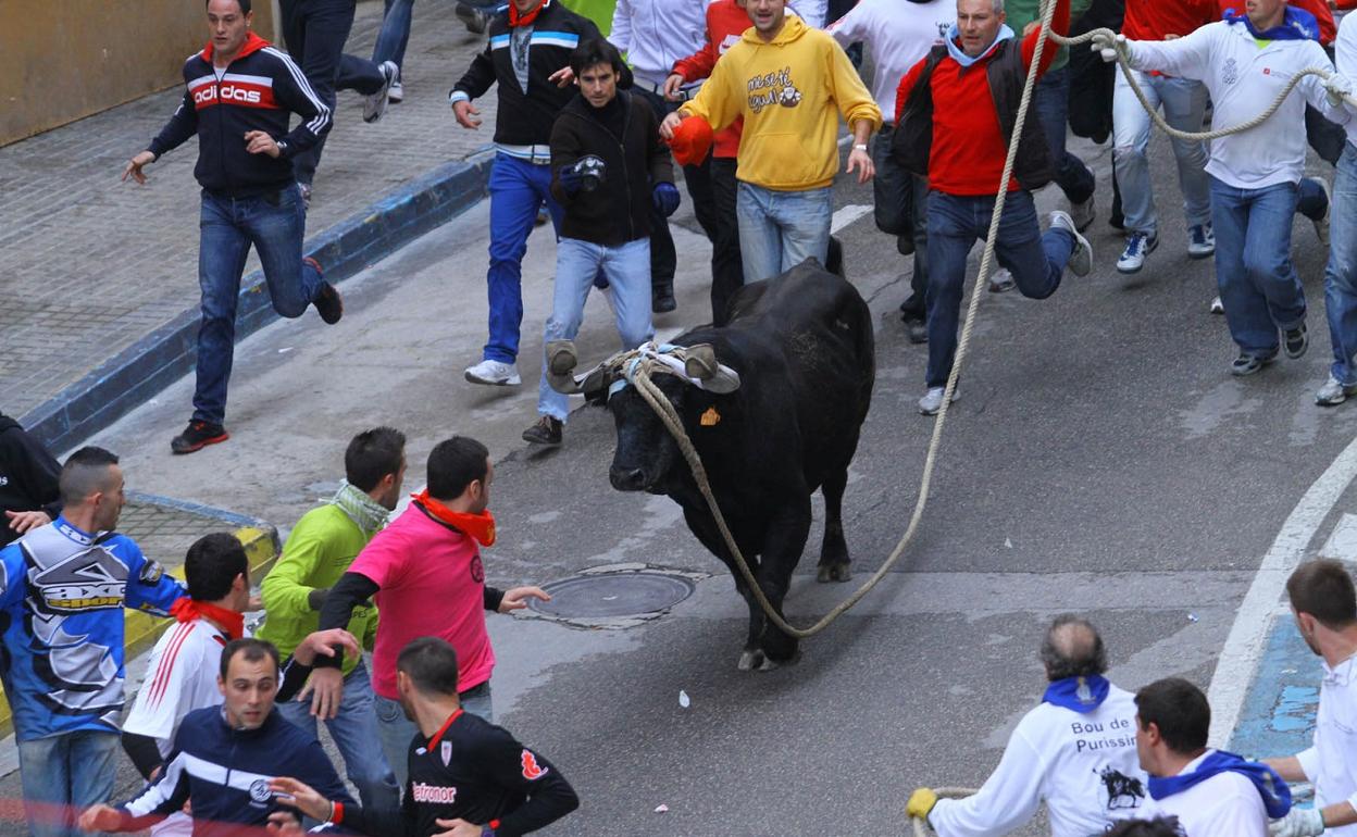 El tradicional festejo de la Purísima vuelve a celebrarse tras el parón de 2020 por la pandemia. 