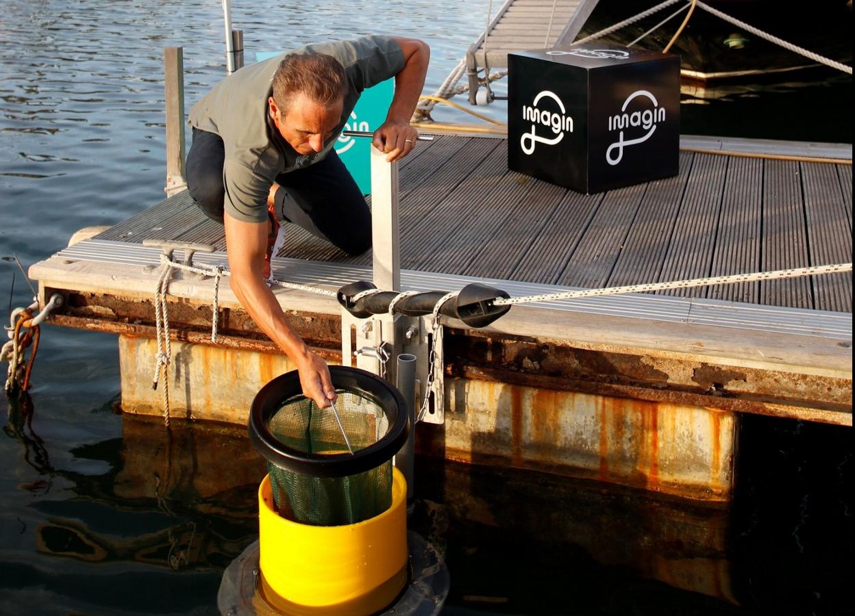 Un trabajador vacía un Seabin ubicado en una dársena. 