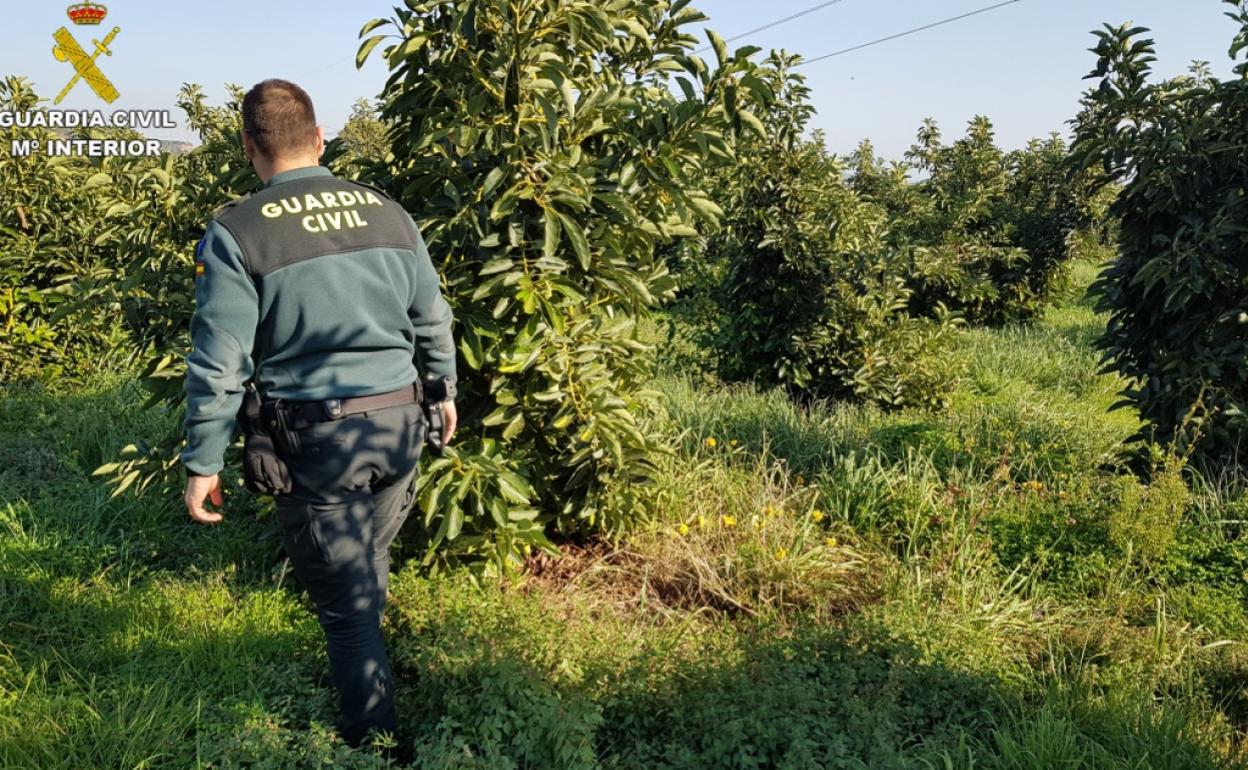 Los agentes controlar el trabajo en el campo. 