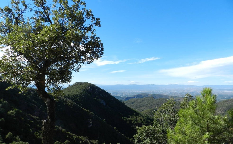 Al ascenso del Pico de Tristán: uno de los enclaves más valiosos de la Sierra Calderona