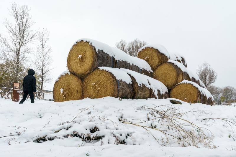 Nieve en Ávila