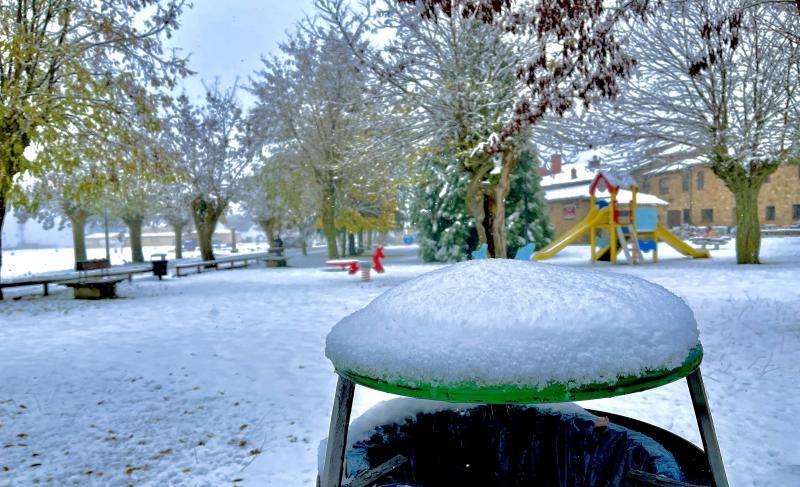 Nieve en Medinaceli (Soria)