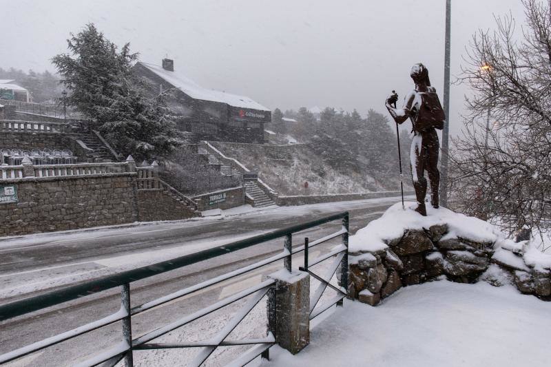 Nieve en Navacerrada