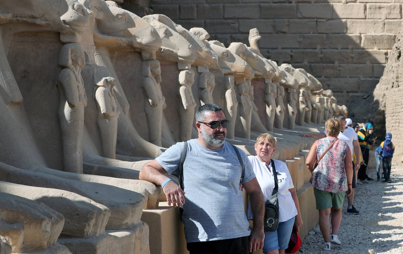 Fotos: Egipto devela el paseo de los carneros en Karnak