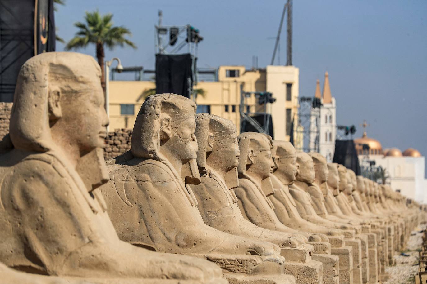 Fotos: Egipto devela el paseo de los carneros en Karnak