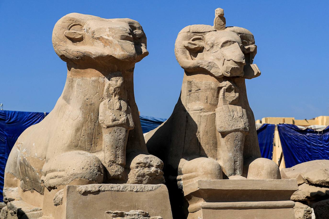 Fotos: Egipto devela el paseo de los carneros en Karnak