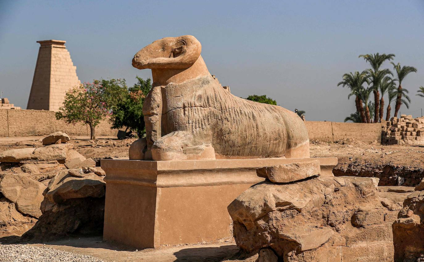 Fotos: Egipto devela el paseo de los carneros en Karnak