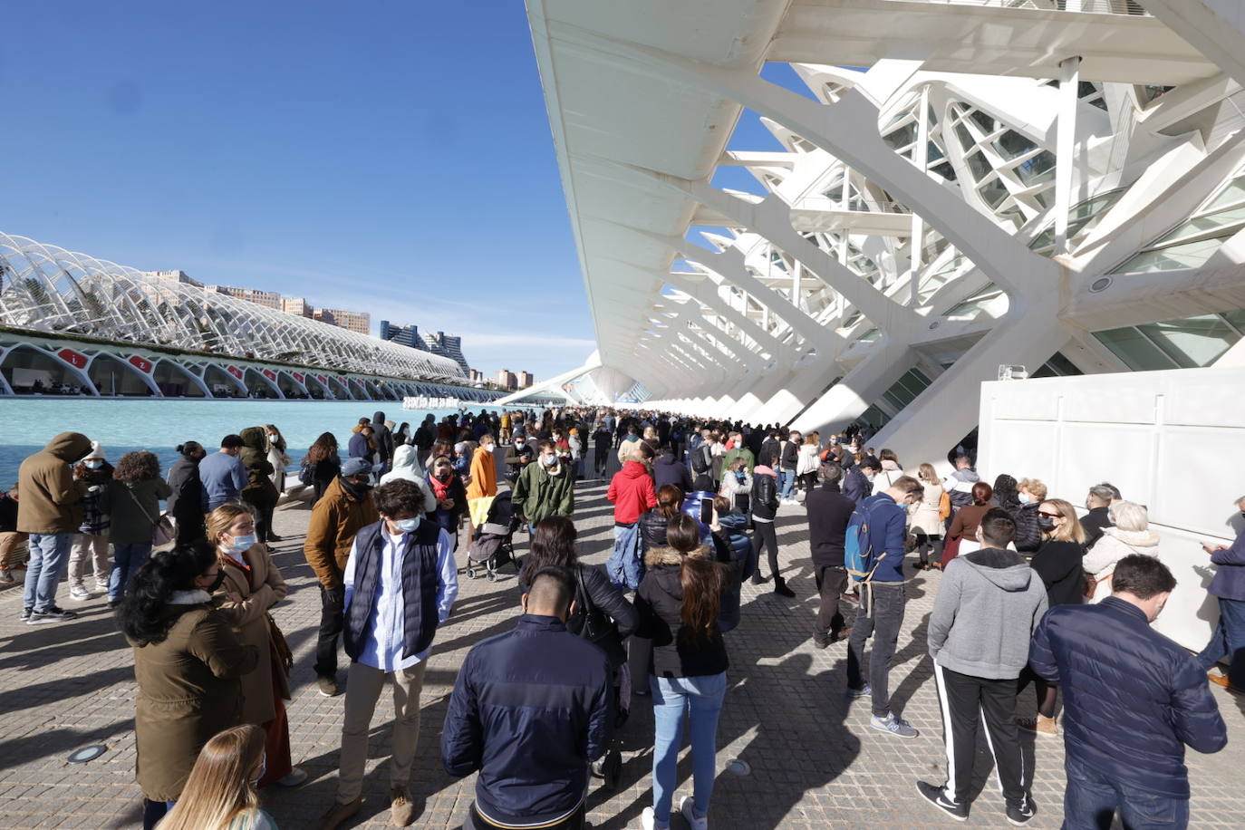 Cientos de personas han hecho cola este viernes por la mañana para vacunarse en el punto de vacunación móvil instalado en la Ciudad de las Artes y las Ciencias con motivo del Maratón Valencia. El interés por obtener el pasaporte Covid para viajar o acceder a negocios hosteleros y las demoras para tener cita en Atención Primaria ha disparado la asistencia. 