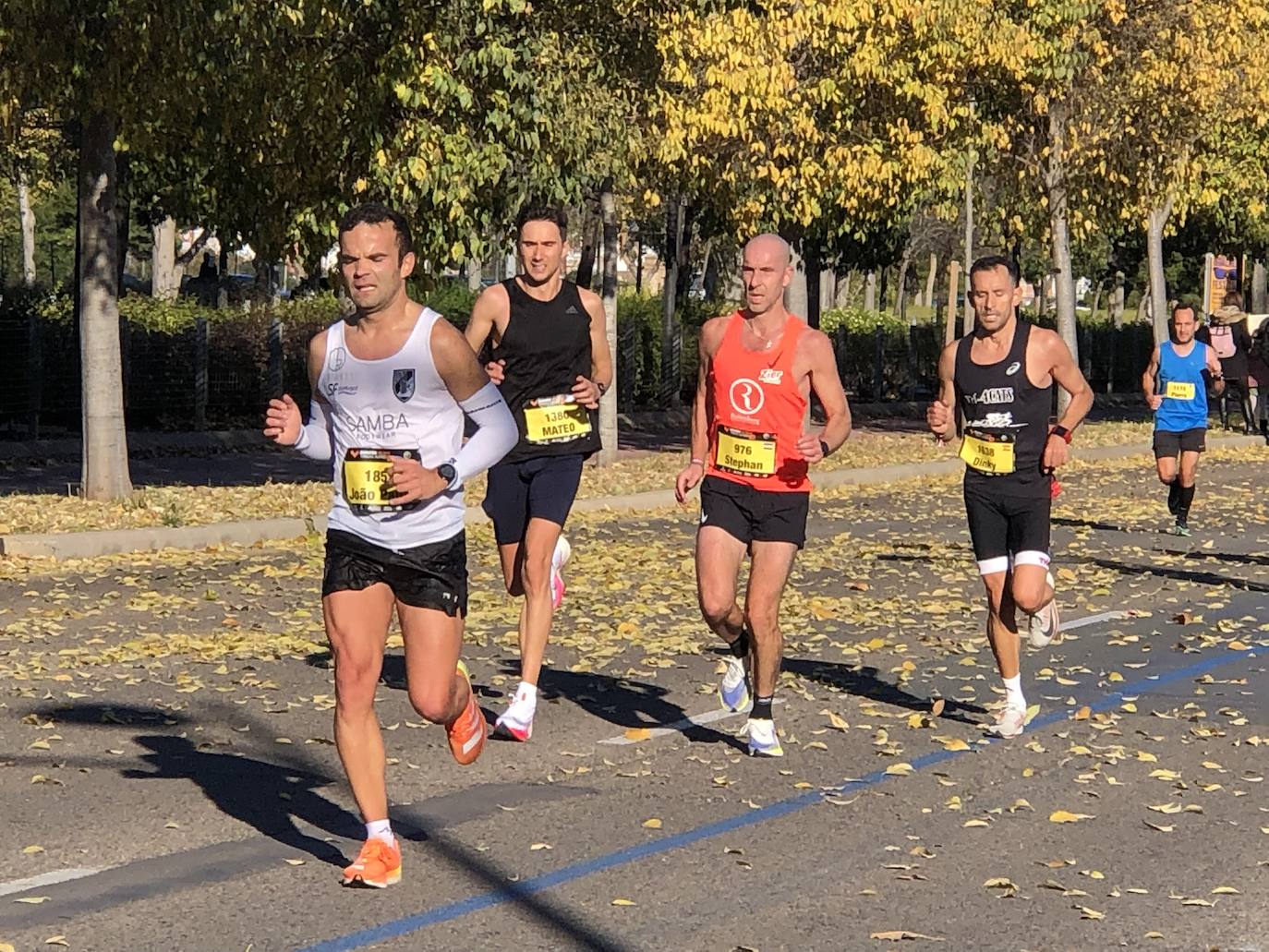 Tras pasar por el centro de la ciudad los participantes llegaban al entorno del Bioparc para comenzar el último tramo de la carrera.