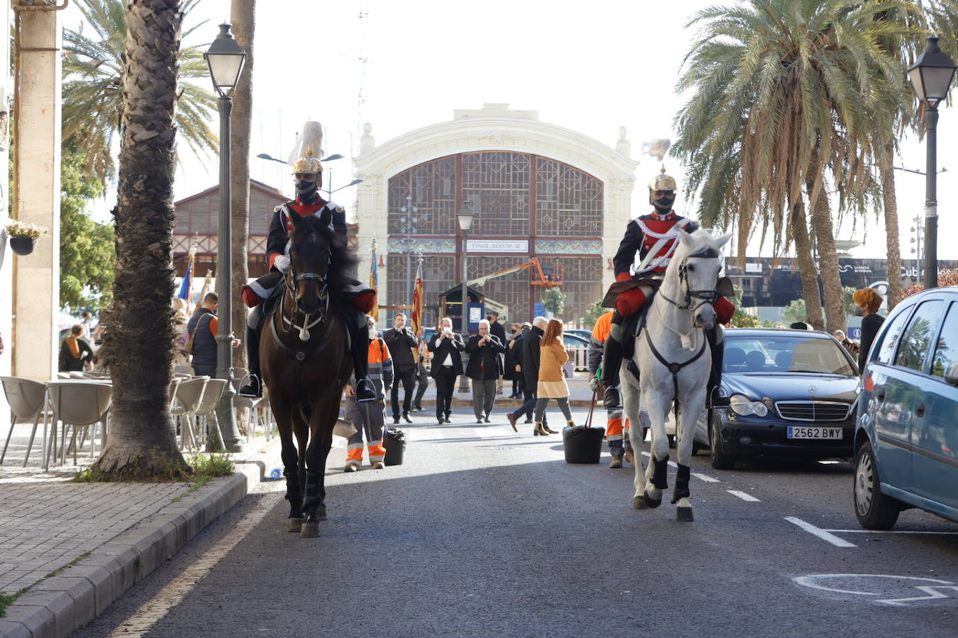 Fotos: Homenaje a la Senyera en Valencia