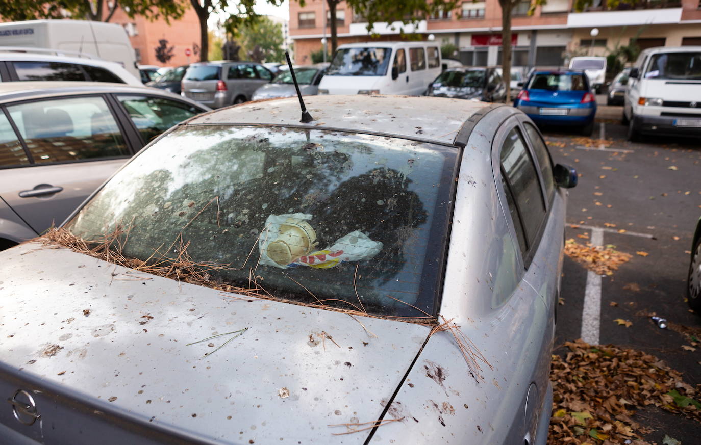 La importante multa de la DGT por no lavar el coche