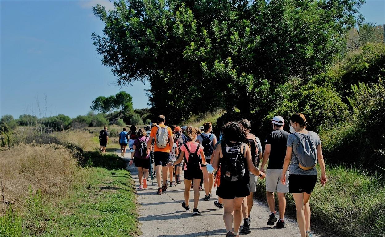 Una de las rutas de senderismo celebradas en la comarca de la Vall d'Albaida. 