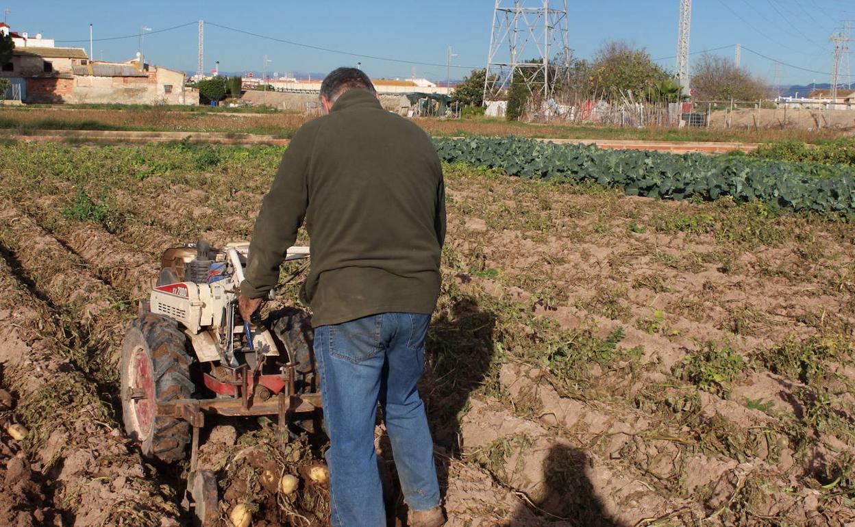 Un agricultor trabaja el campo. 