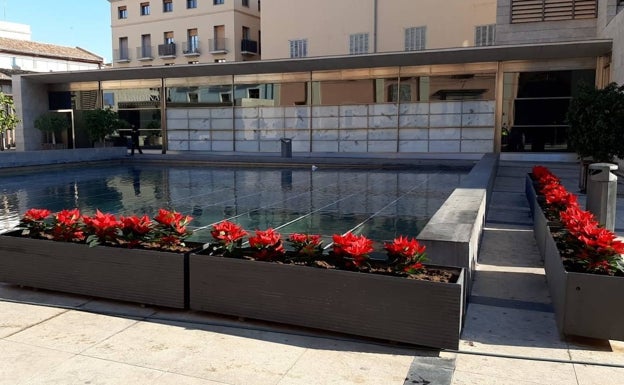 Imagen principal - Plantas de Pascua en la plaza de la Almoina y en el Jardín del Turia. 