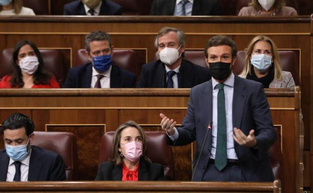 El presidente del PP, Pablo Casado. 