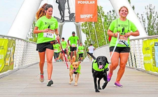 Los perros participan junto a sus familias en la prueba solidaria. 