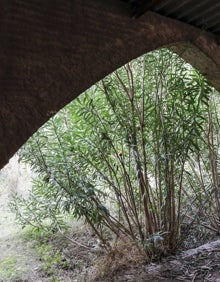 Imagen secundaria 2 - Interior de la fábrica de La Ceramo. 