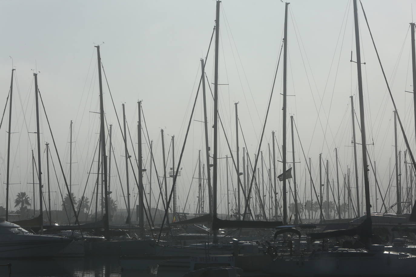 Fotos: La niebla cubre Valencia (2 de enero de 2022)