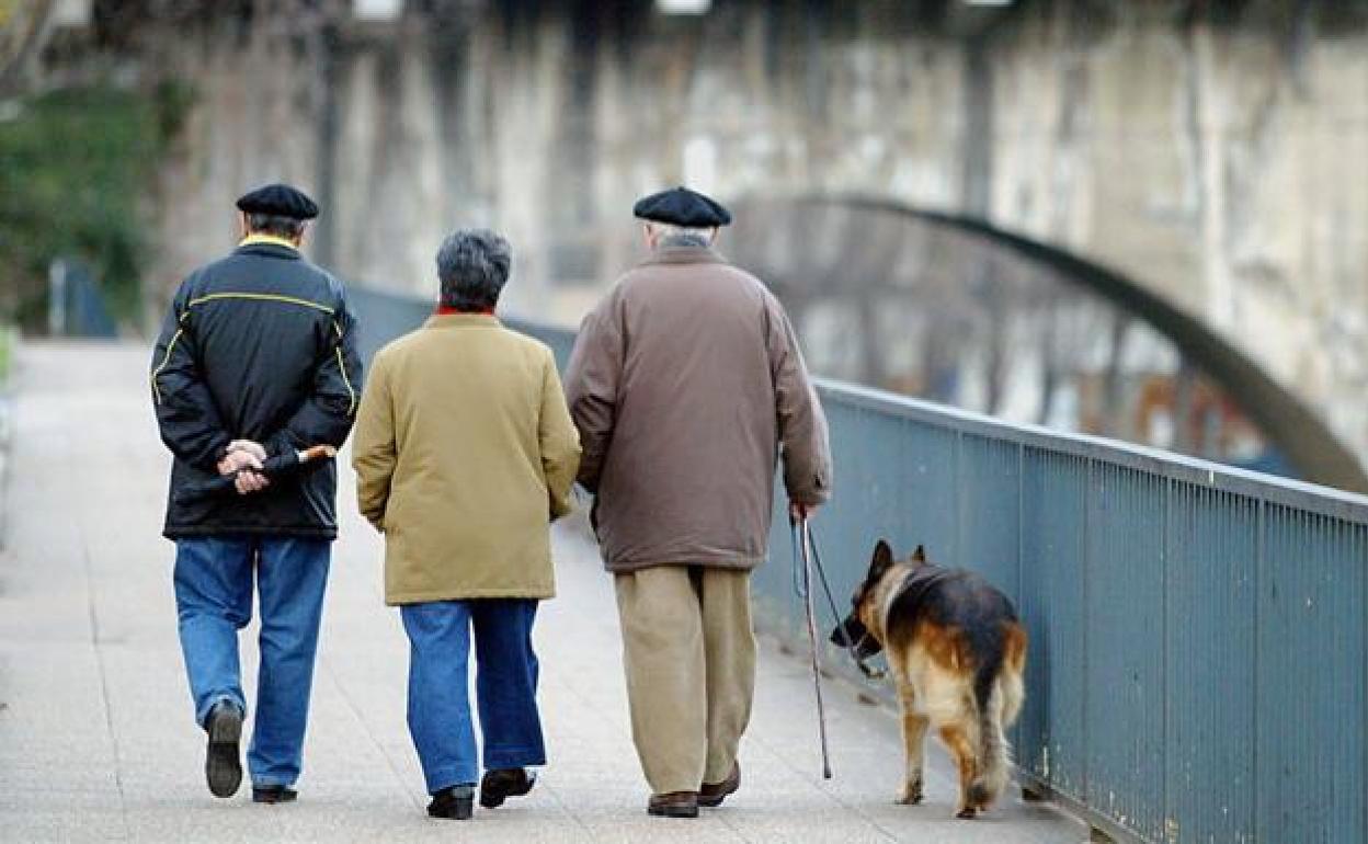 Tres jubilados pasean con su perro. 