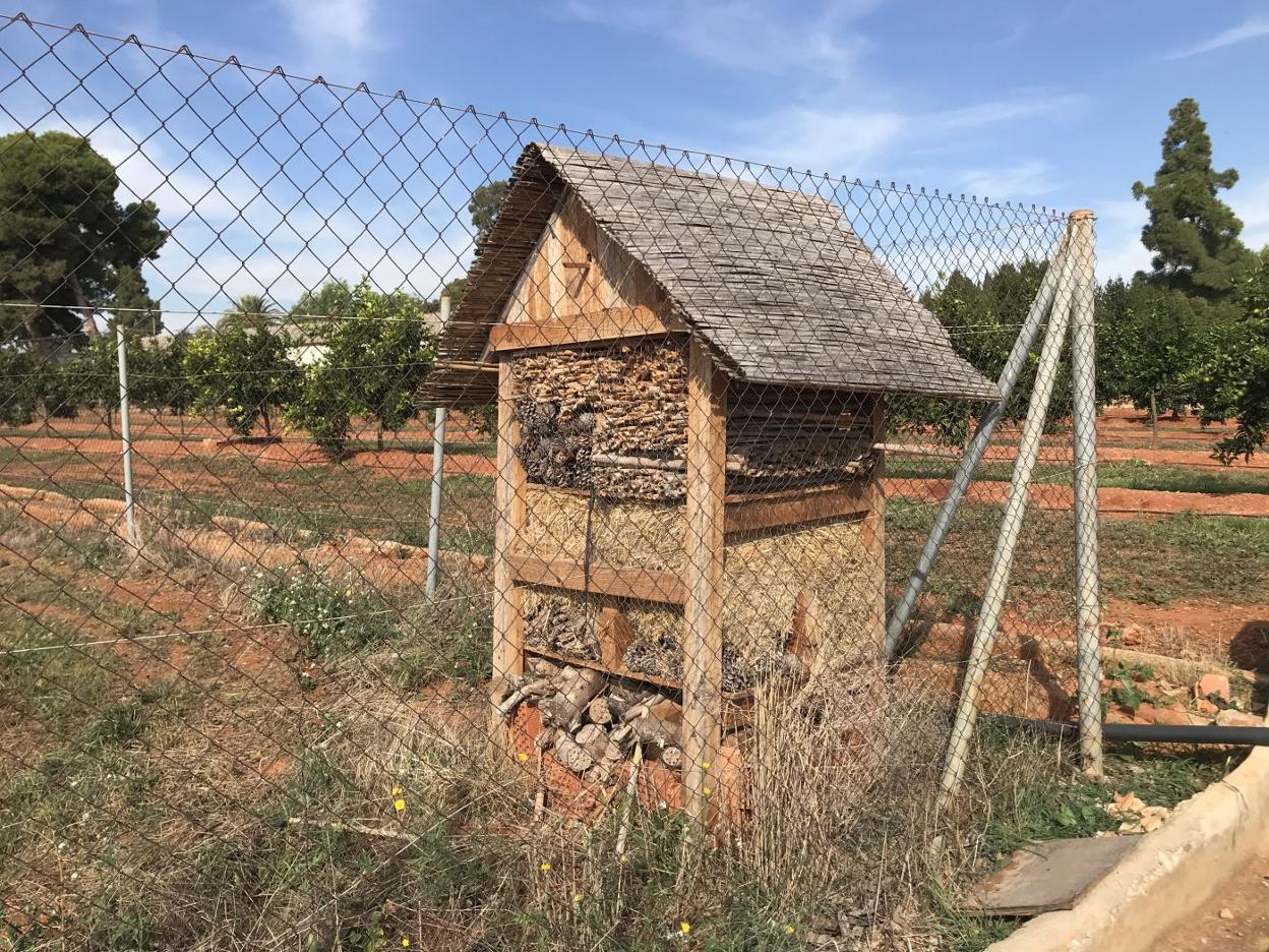 Hotel de insectos instalado en un campo de experimentación de la Conselleria de Agricultura. lp